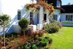 Bed and Breakfasts to rent in Cape Town, Cape Winelands, South Africa