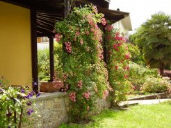 Holiday Rentals & Accommodation - Bed and Breakfasts - Italy - Lombardia - Gavardo