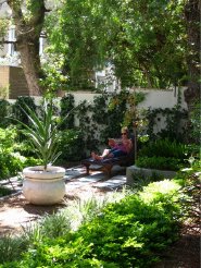 Guest Houses to rent in Cape Town, Western Cape, South Africa