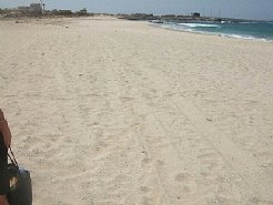 Apartments to rent in Sal Rei, Sal Rei, Cape Verde Islands