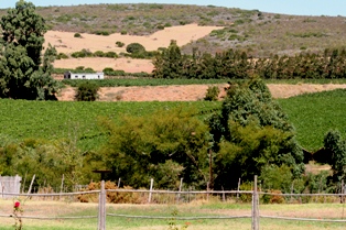 Guest Farms to rent in Robertson , Winelands, South Africa