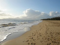 Beachfront Apartments to rent in Cairns, Cairns / Tropical Far North, Australia