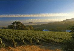 Guest Houses to rent in Stellenbosch, Winelands, South Africa