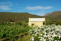 Country Cottages to rent in Barrydale, Catani Farm, South Africa