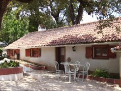 Holiday Rentals & Accommodation - Self Catering - Portugal - Central - Alvaiaizere