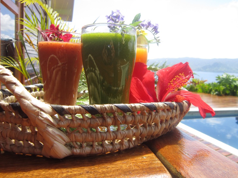 Bed and Breakfasts to rent in Savusavu, Fiji Islands, Fiji