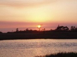 Beach Cottages to rent in Tybee Island GA, Georgia Coast, United States