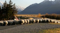 Holiday Parks to rent in Aoraki Mt Cook, Mackenzie Country, New Zealand