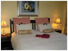 Bed and Breakfasts to rent in Edenvale, Near OR Tambo International Airport, South Africa
