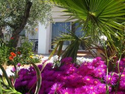 Guest Houses to rent in ARENAS de VELEZ MALAGA, Andalusia  Costa del Sol , Spain