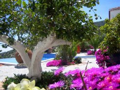 Guest Houses to rent in ARENAS de VELEZ MALAGA, Andalusia  Costa del Sol , Spain