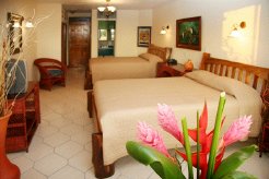 Hotels to rent in Manuel Antonio, Aguirre, Costa Rica