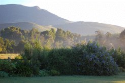 Self Catering to rent in Plettenberg Bay, Garden Route, South Africa