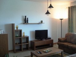 Apartments to rent in Sao Martinho do Porto, Silver Coast, Portugal