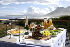 Guest Houses to rent in Hermanus, Cape Whale Coast, South Africa