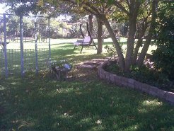 Bed and Breakfasts to rent in Aliwal North, Eastern Cape, South Africa