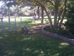 Bed and Breakfasts to rent in Aliwal North, Eastern Cape, South Africa