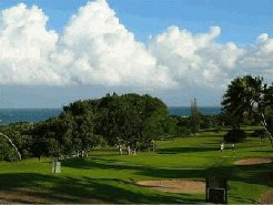 Holiday Resorts to rent in Southbroom, Hibiscus / Golf Coast, South Africa