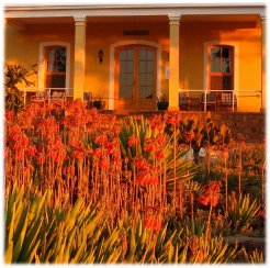 Guest Farms to rent in Windhoek, Windhoek District, Namibia