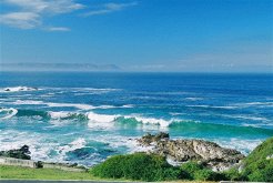 Guest Houses to rent in Hermanus, Overberg, South Africa