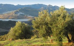 Self Catering to rent in Algodonales, Andalucia, Spain