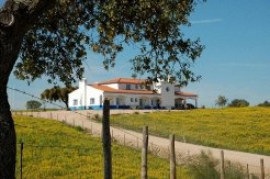 Bed and Breakfasts to rent in Terena, Alentejo, Portugal