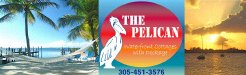 Location & Hbergement de Vacances - Maisonette en bord de mer - United States - Florida Keys-Key West - Key Largo