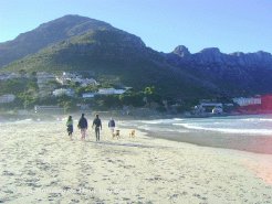 Holiday Apartments to rent in Cape Town, Western Cape, South Africa