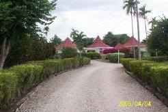 Villas to rent in Runaway Bay, St Ann, Jamaica