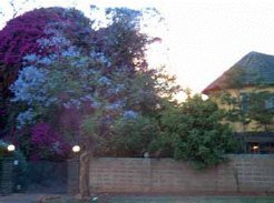 Guest Houses to rent in Pretoria, Gauteng, South Africa