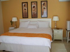 Guest Houses to rent in Somerset West, Western Cape, South Africa