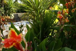 Bed and Breakfasts to rent in Moncarapacho, Faro, Portugal