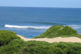 Holiday Accommodation to rent in Port Alfred, Sunshine Coast, South Africa