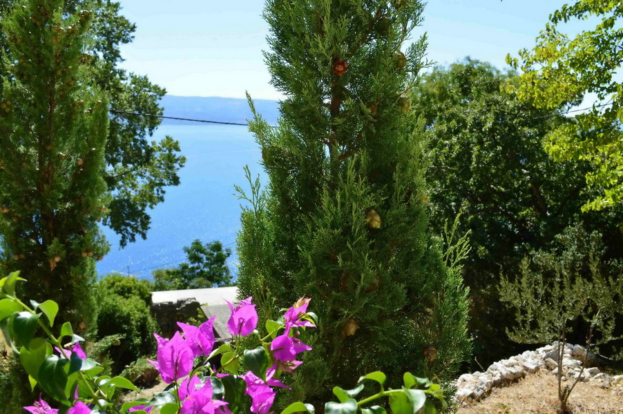 Holiday Villas to rent in Omi, Dalmatia-Croatia, Croatia