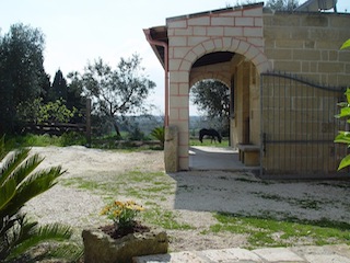 Location & Hébergement de Vacances - Hébergement à Petit Prix - Italy - Apulia - Vignacastrisi
