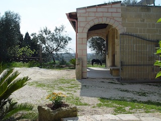 Location & Hbergement de Vacances - Hbergement  Petit Prix - Italy - Apulia - Vignacastrisi