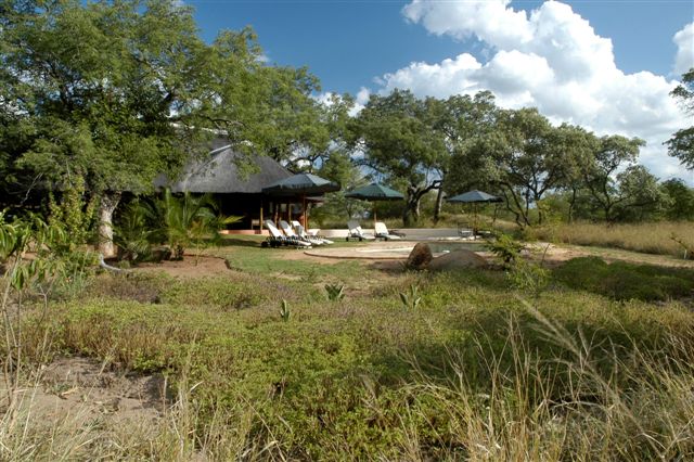 Game Reserves to rent in Hoedspruit, Thornybush Game Reserve, South Africa