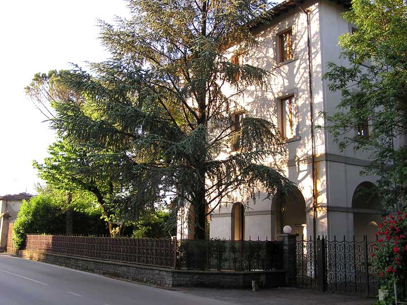 Location & Hbergement de Vacances - Appartements - Italy - tuscany  - arezzo 