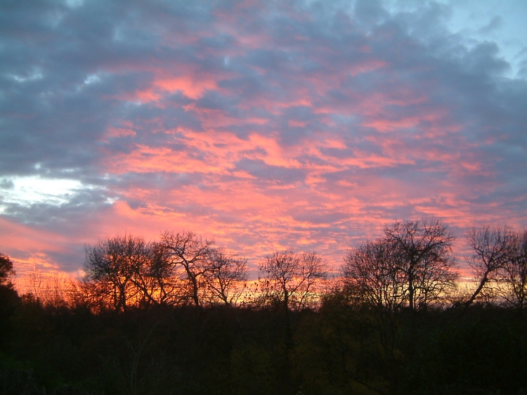 Verhurings & Vakansie Akkommodasie - Selfsorg - England - South Somerset - Yeovil