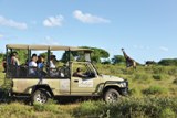 Game Reserves to rent in Hluhluwe, Kwazulu Natal, South Africa