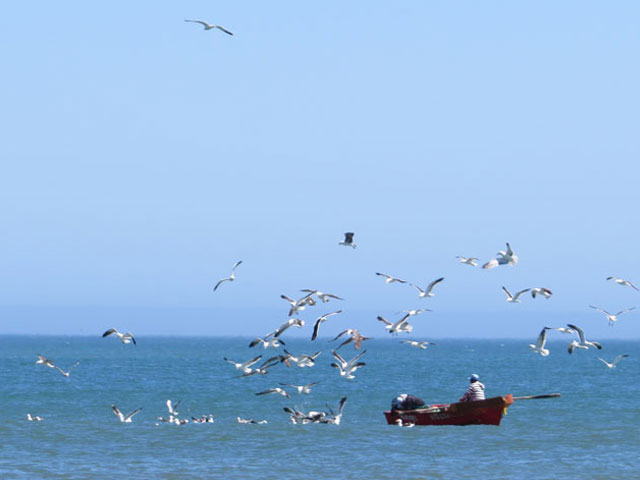 Verhurings & Vakansie Akkommodasie - Selfsorg - South Africa - West Coast - Paternoster