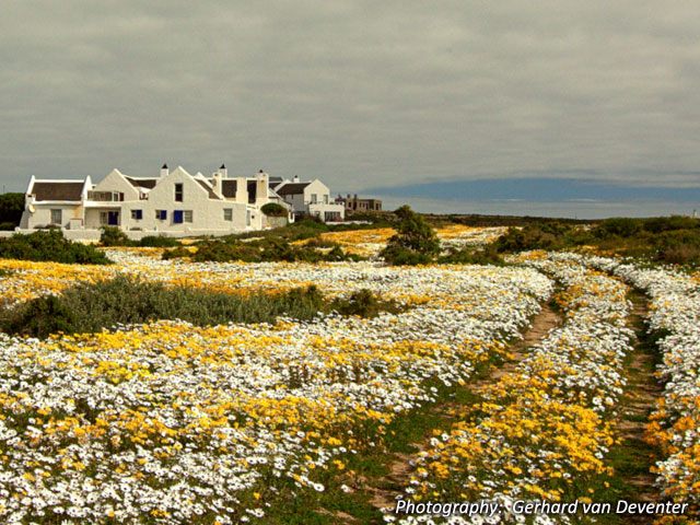 Self Catering to rent in Paternoster, West Coast, South Africa