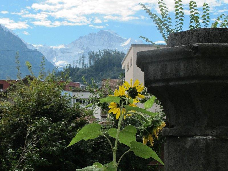 Apartments to rent in Interlaken, Jungfrau Region, Switzerland