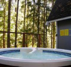 Cabins to rent in Glacier, Mt. Baker, USA