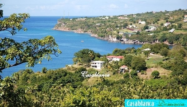 Verhurings & Vakansie Akkommodasie - Selfsorg - Dominica - DOMINICA - MACOUCHERIE