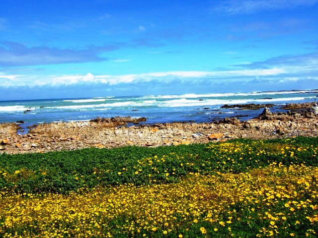 Holiday Apartments to rent in Struisbaai, Overberg District, South Africa