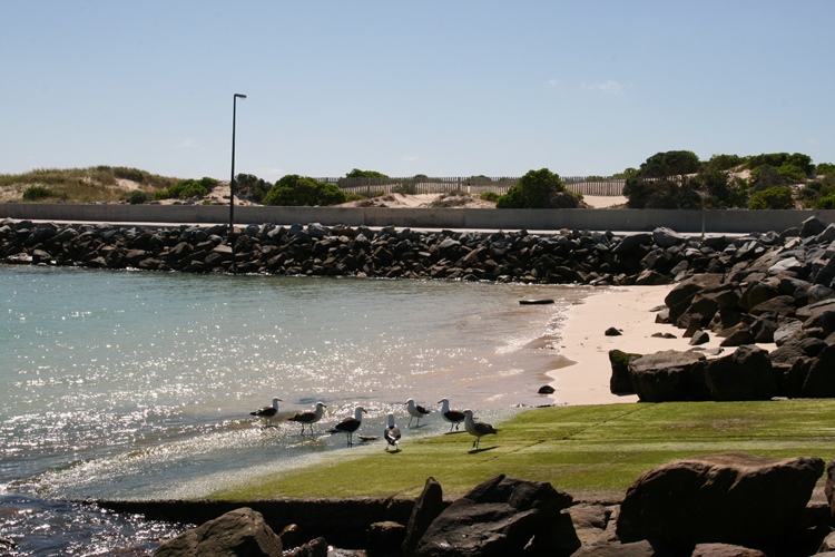 Holiday Apartments to rent in Struisbaai, Overberg District, South Africa