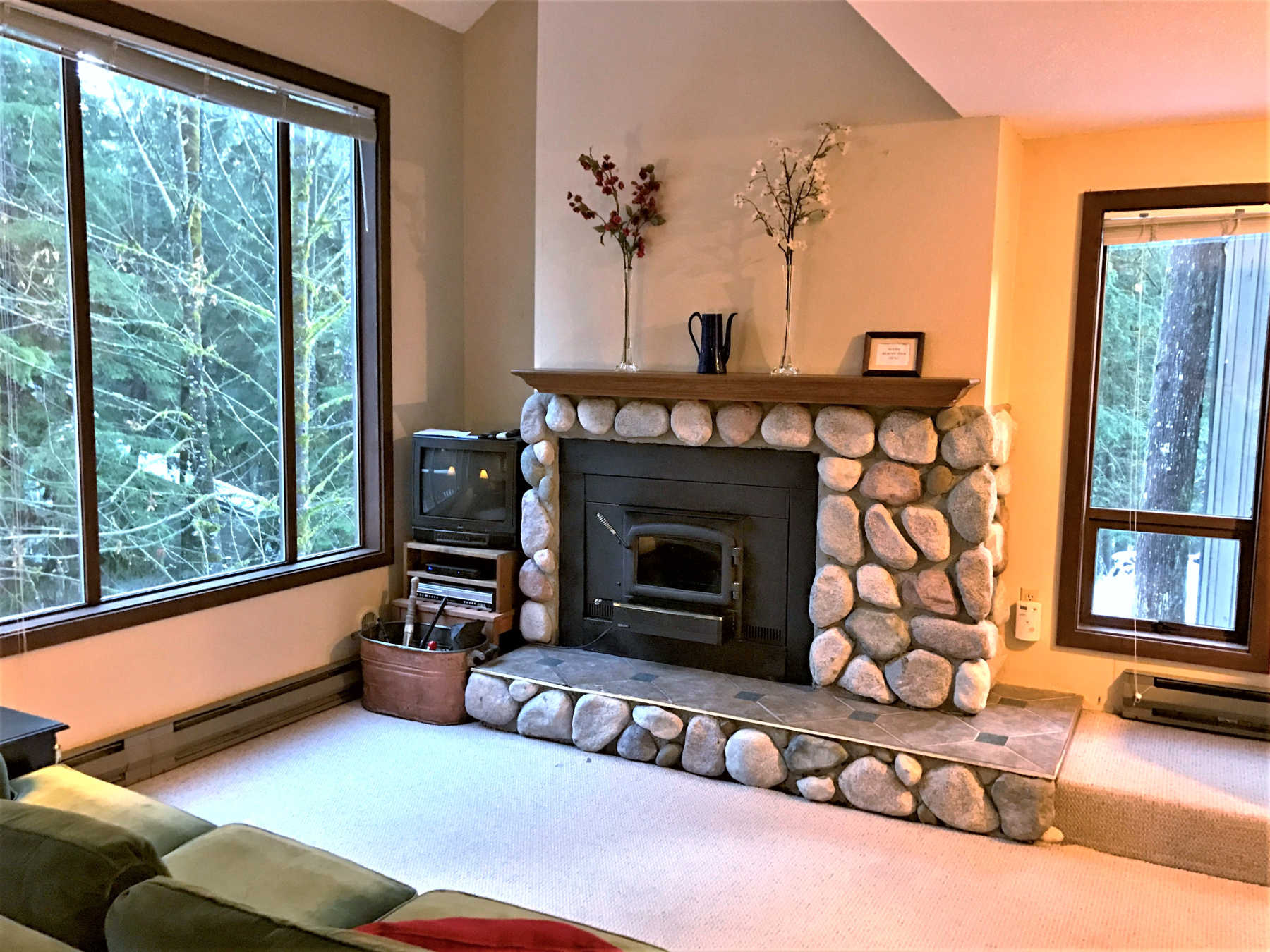 Holiday Rentals & Accommodation - Holiday Apartments - United States - Mt Baker - Glacier