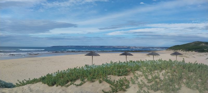 Garden Flat to rent in Mossel Bay, Eden District, South Africa