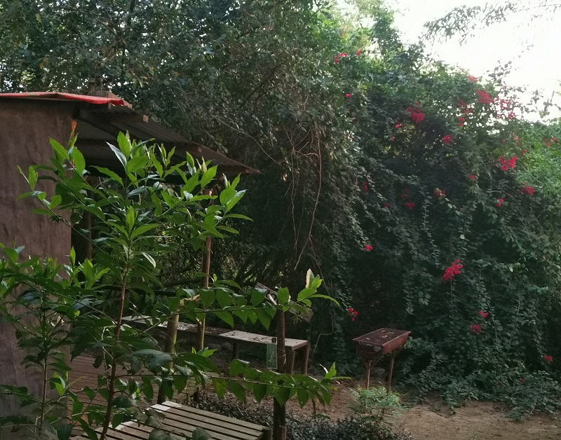 Backpackers to rent in Kwangwanase, Kosi Bay, South Africa